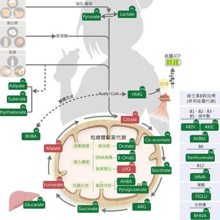 精準生化檢驗 精準生化檢驗